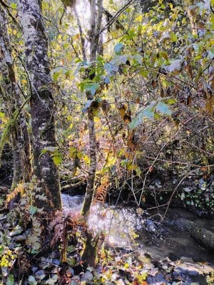 Watershed Park