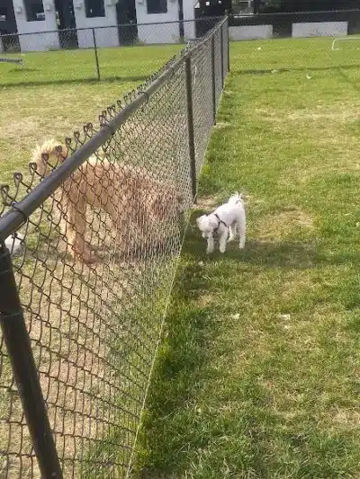Aksarben Dog Park Omaha - Omaha, NE