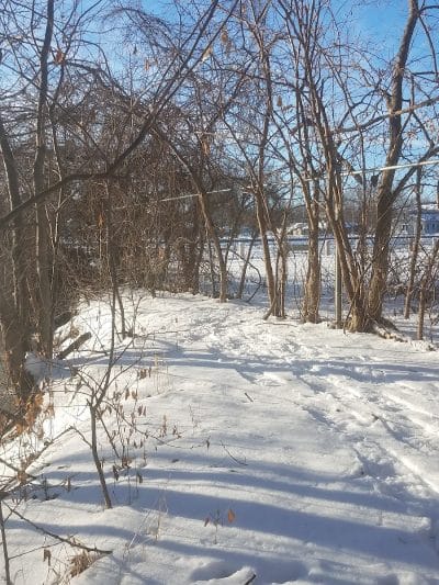 Fox and Hounds Park - Omro, WI