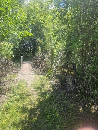 Schnyder/Wendt Park - Omro, WI
