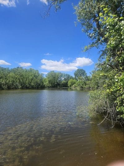 Schnyder/Wendt Park - Omro, WI