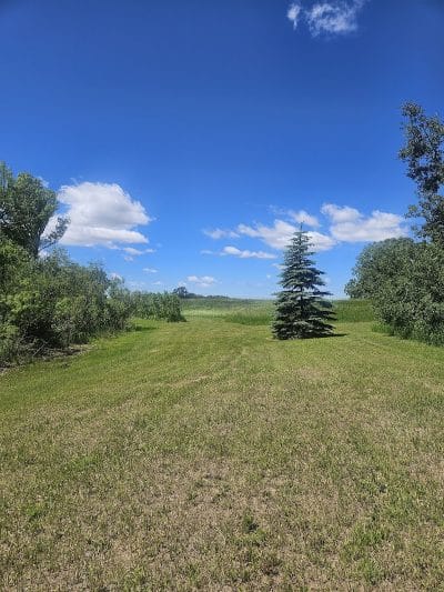 Schnyder/Wendt Park - Omro, WI