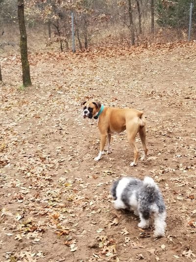 Van Riper Dog Park - Onalaska, WI