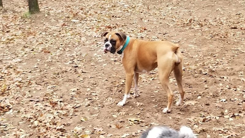 Van Riper Dog Park - Onalaska, WI