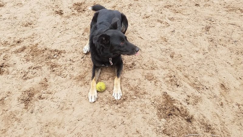 Van Riper Dog Park - Onalaska, WI