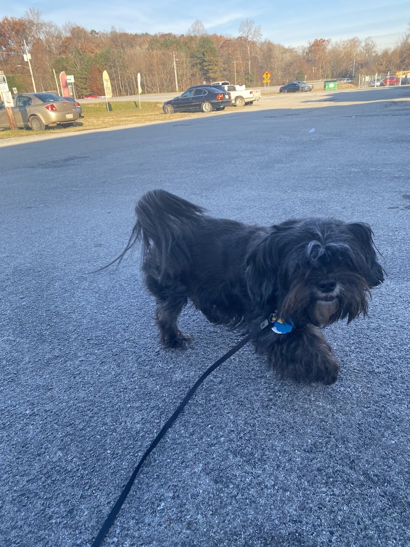 Furry Tales Boarding, Indoor Daycare, and Grooming - Ooltewah, TN