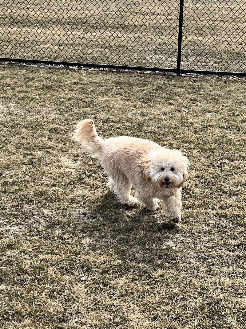 Wiggly Field Dog Park - Oregon, IL