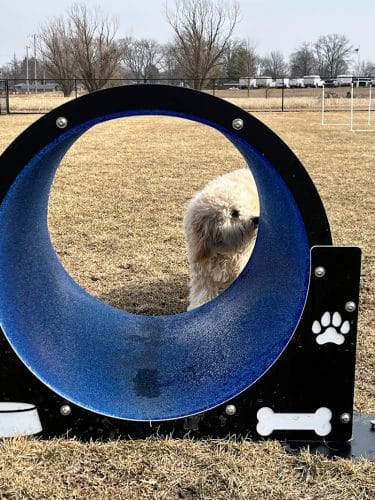 Wiggly Field Dog Park