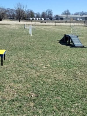 Wiggly Field Dog Park