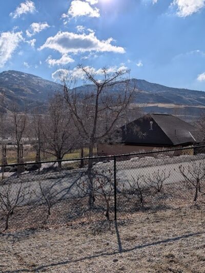 Orem Dog Park - Orem, UT
