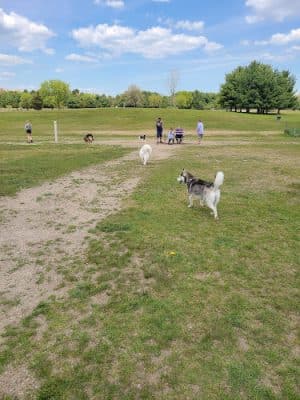 Orion Oaks Dog Park