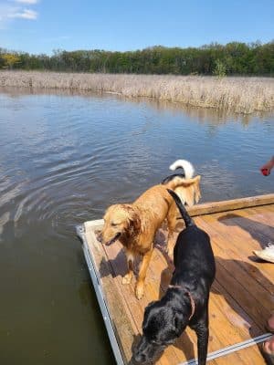 Orion Oaks Dog Park