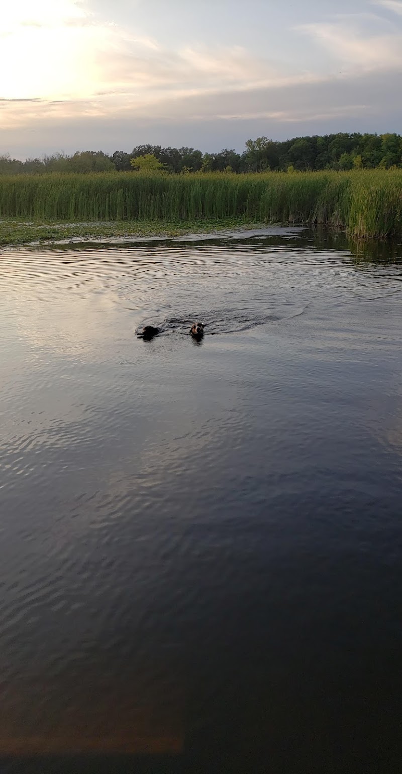 Orion Oaks Dog Park Beach - Orion Township, MI