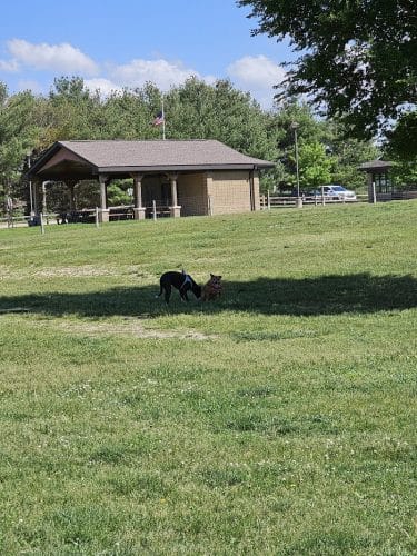 Orion Oaks Dog Park Beach