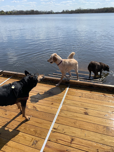 Orion Oaks Dog Park Beach