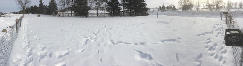 Dog Park - Osseo, WI