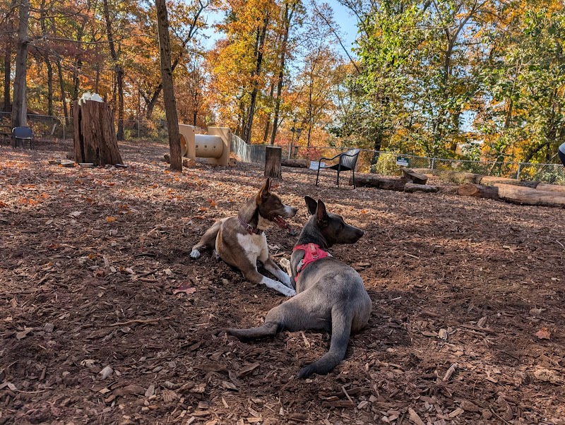 Ossining Dog Park - Ossining, NY