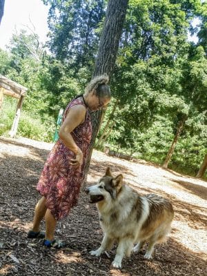 Ossining Dog Park