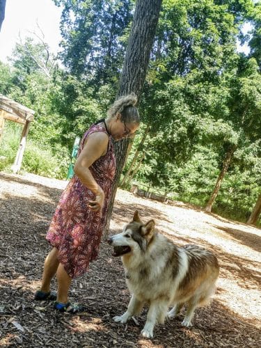 Ossining Dog Park
