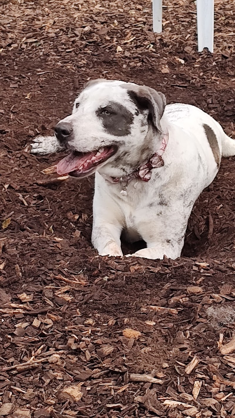 Ossining Dog Park - Ossining, NY