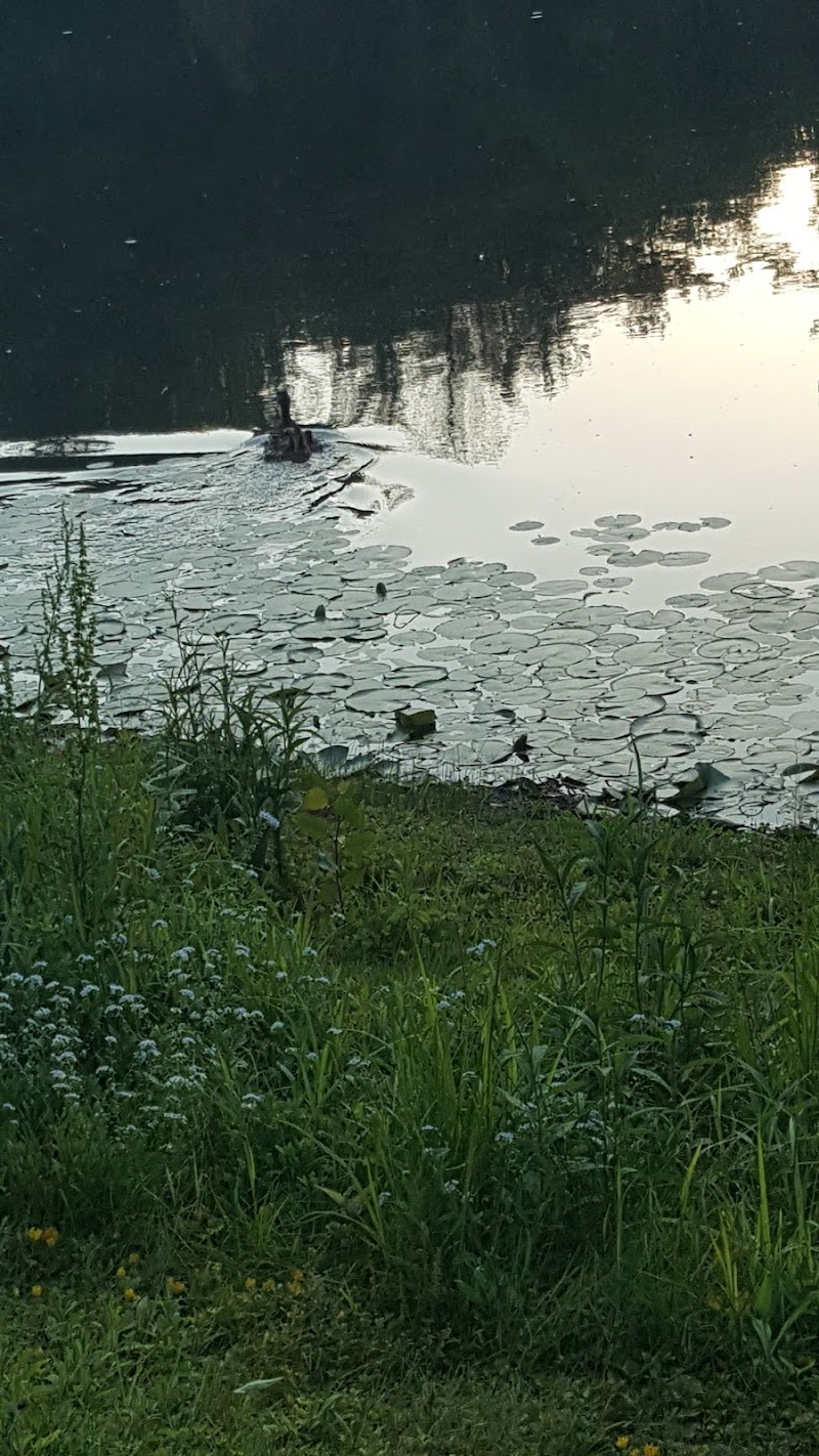 Ossining Dog Park - Ossining, NY