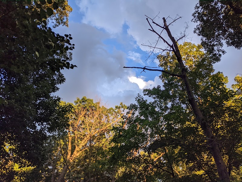 Ossining Dog Park - Ossining, NY