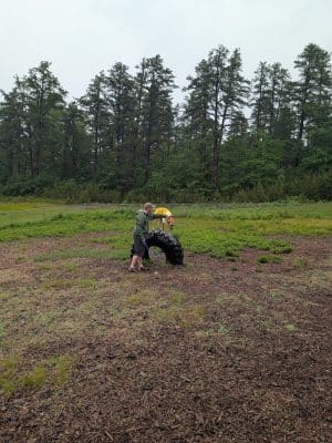 Ossipee Dog Park