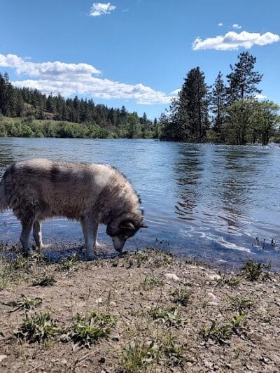 Gateway Regional Park - Otis Orchards, WA