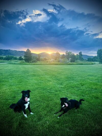 Brittany Park - Overland Park, KS