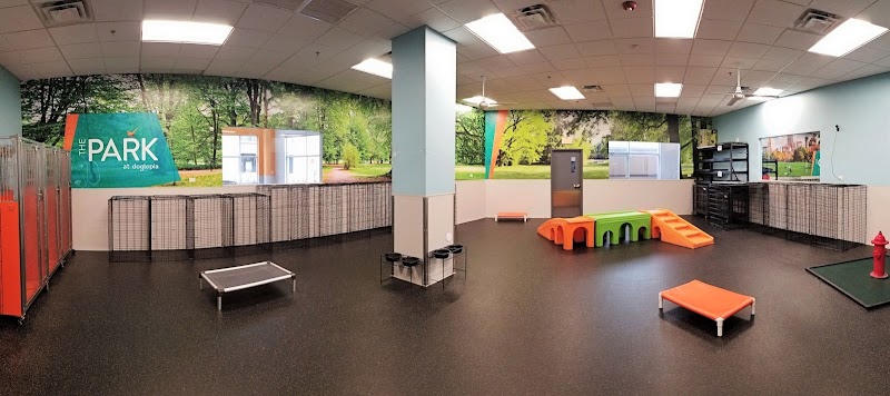 Dogtopia of Overland Park - Overland Park, KS