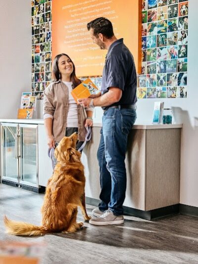 Dogtopia of Overland Park - Overland Park, KS