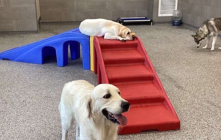 K9 Resorts Luxury Pet Hotel Overland Park - Overland Park, KS