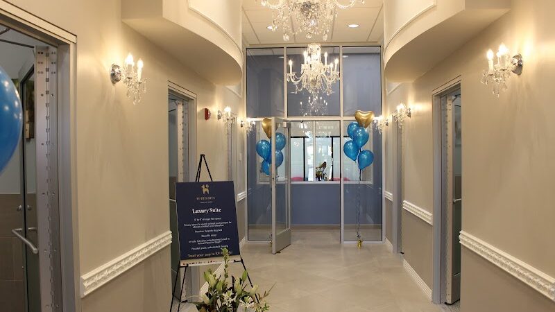 K9 Resorts Luxury Pet Hotel Overland Park - Overland Park, KS
