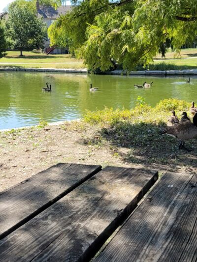 Kingston Lake Park - Overland Park, KS