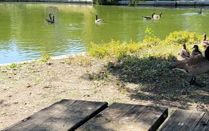 Kingston Lake Park - Overland Park, KS