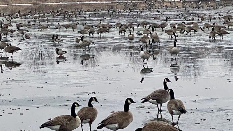 Kingston Lake Park - Overland Park, KS