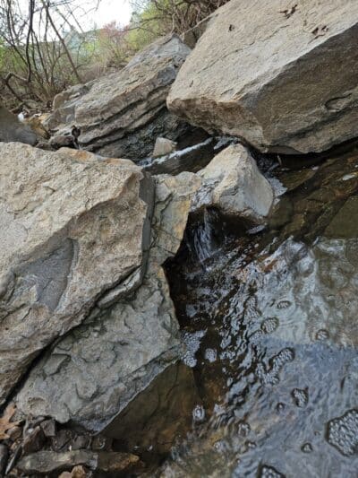 Lexington Park - Overland Park, KS