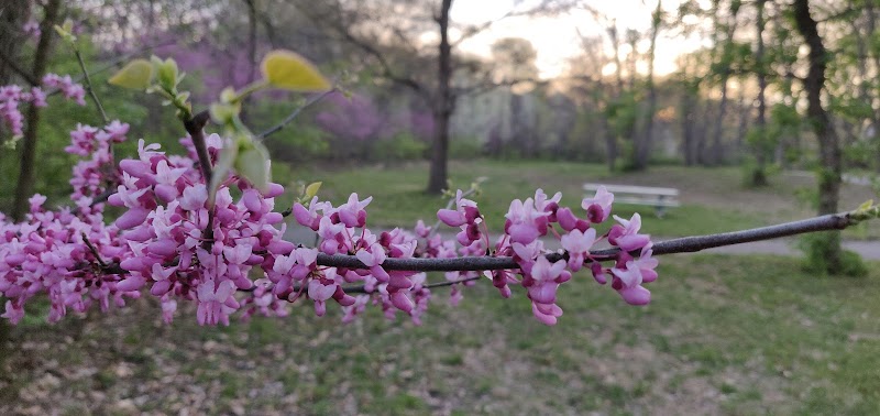 Nottingham Downs Park - Overland Park, KS