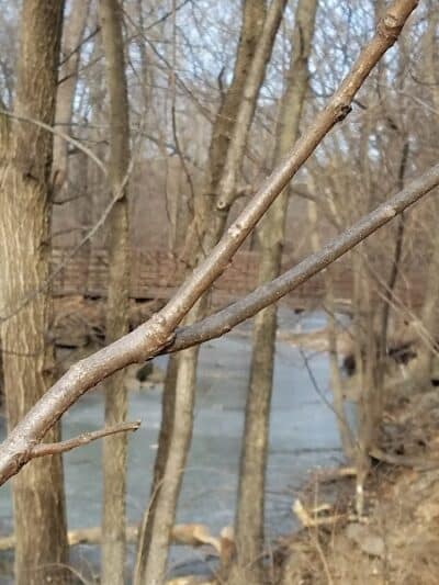 Nottingham Downs Park - Overland Park, KS