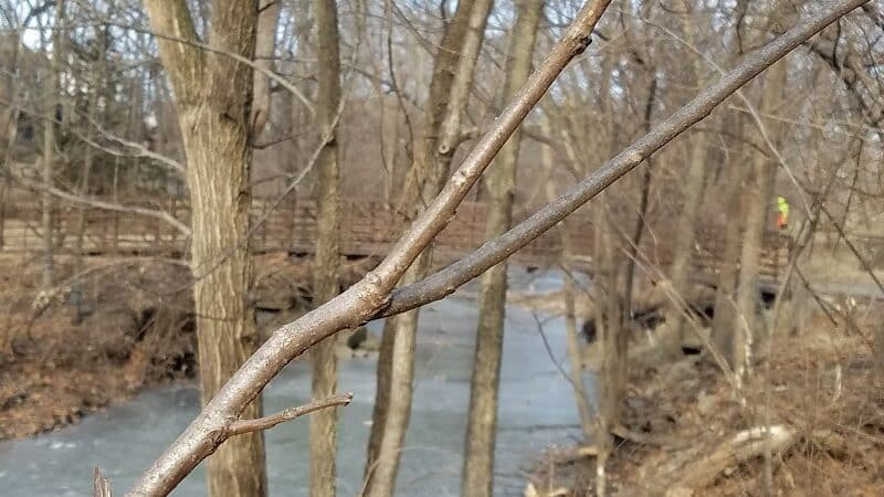 Nottingham Downs Park - Overland Park, KS