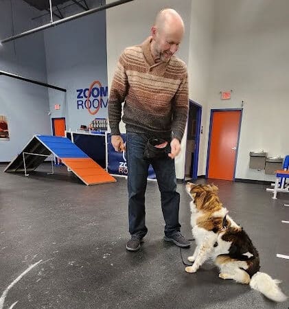 Zoom Room Dog Training - Overland Park - Overland Park, KS