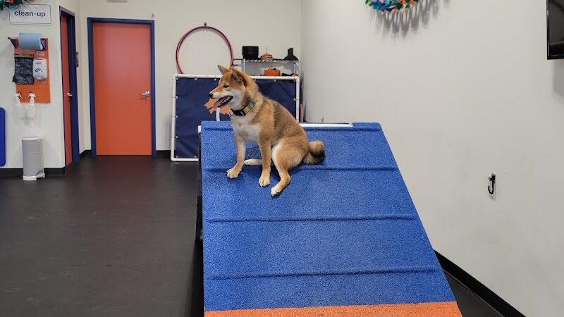 Zoom Room Dog Training - Overland Park - Overland Park, KS