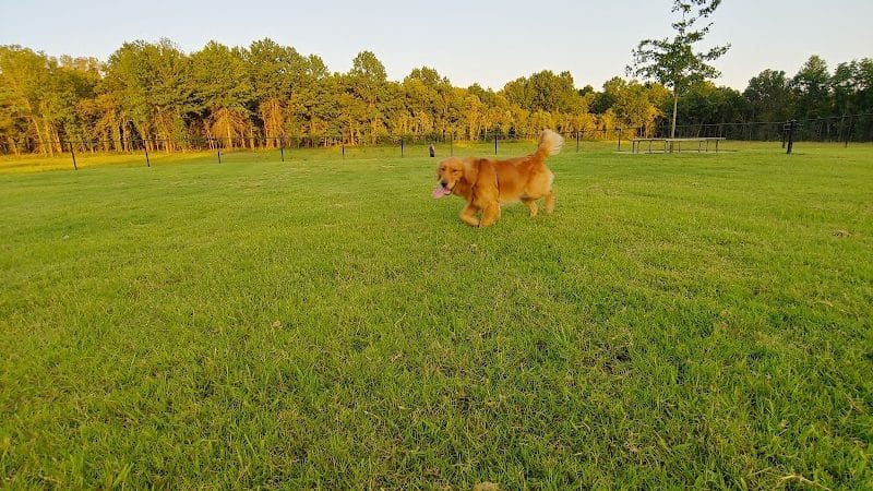 Waggin Trail Dog Park - Owasso, OK