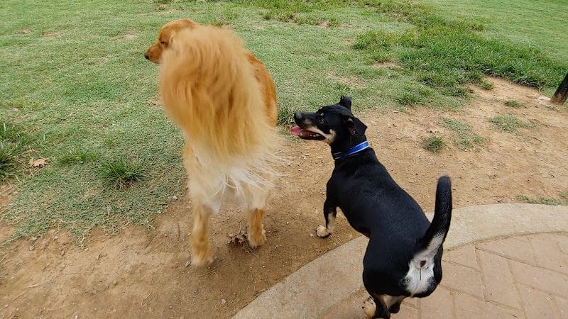 Waggin Trail Dog Park - Owasso, OK