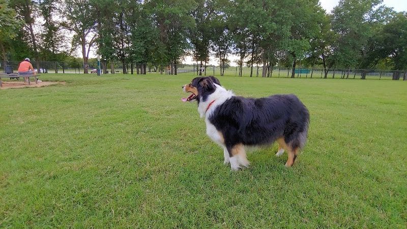 Waggin Trail Dog Park - Owasso, OK