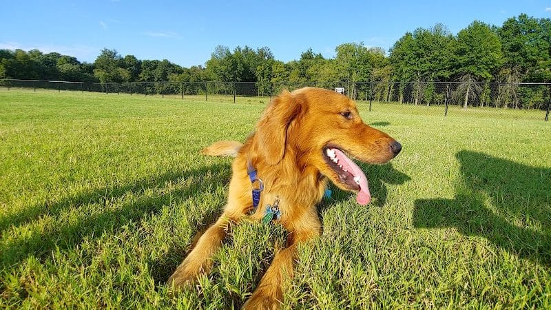 Waggin Trail Dog Park - Owasso, OK