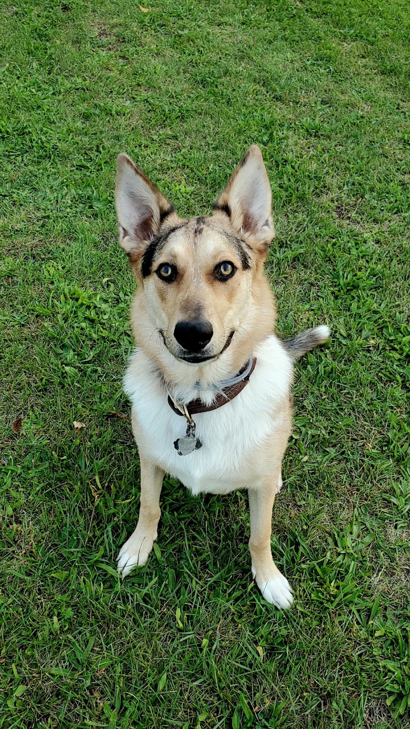 Rebecca Weitsman Memorial Dog Park - Owego, NY