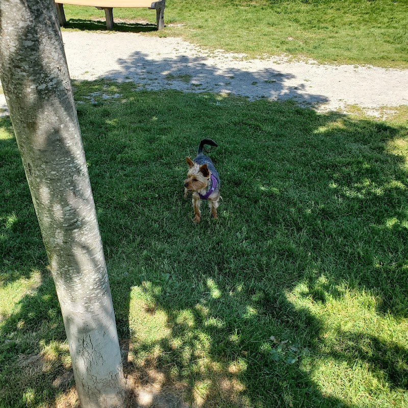 Rebecca Weitsman Memorial Dog Park - Owego, NY