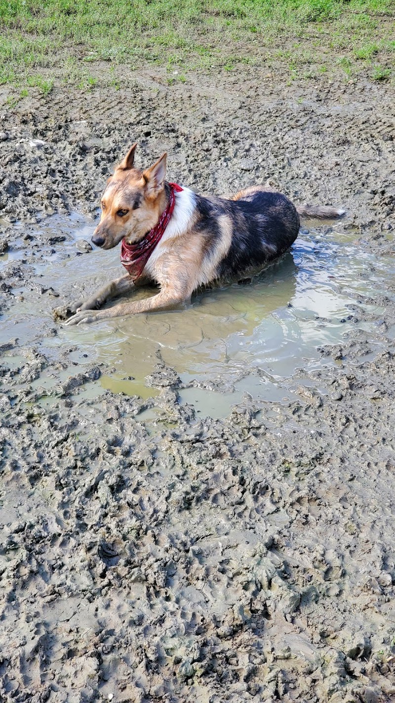 Rebecca Weitsman Memorial Dog Park - Owego, NY