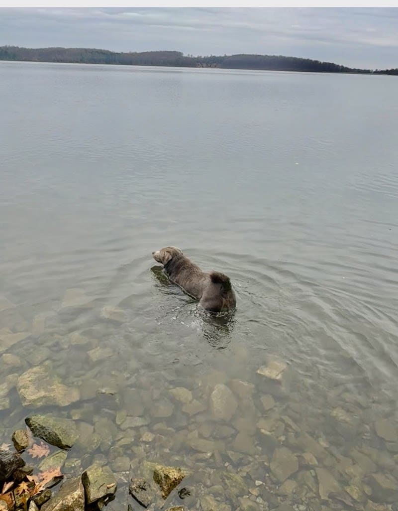 Lake Marguerite Wildlife Refuge - Oxford, NJ